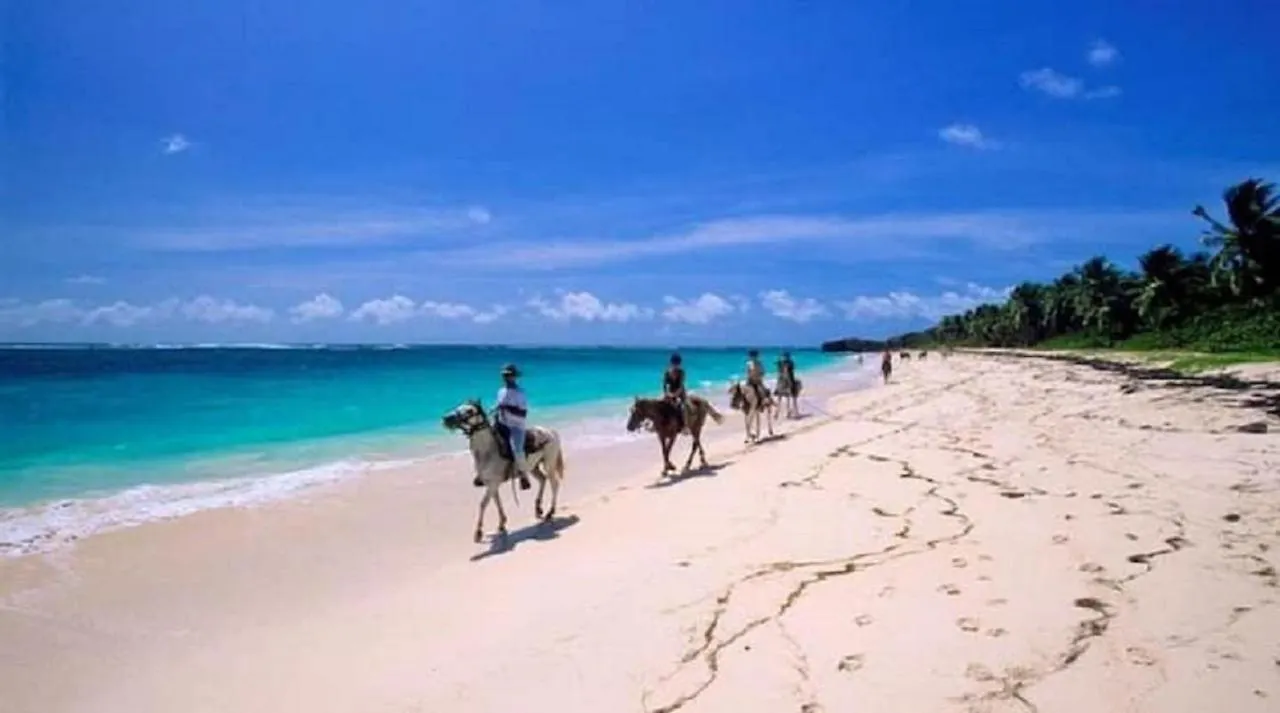 Le Jardin Du Petit Macabou Lejlighed Le Vauclin Martinique