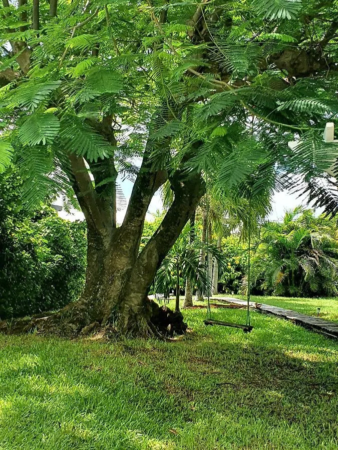 Le Jardin Du Petit Macabou Lejlighed Le Vauclin Martinique